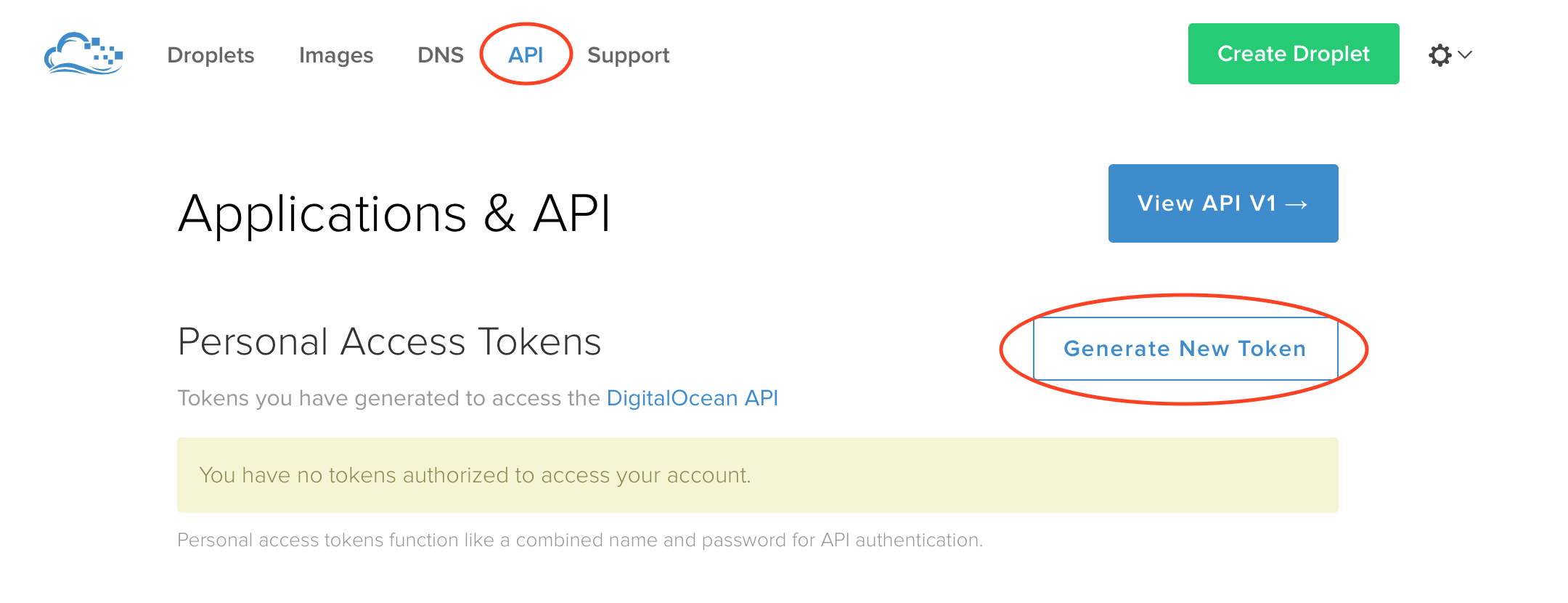 The DigitalOcean API UI